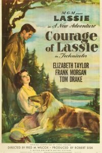  Храбрость Лэсси 