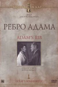  Ребро Адама 