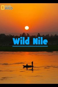  Дикий Нил 