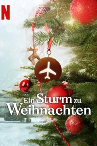  Рождественская буря 