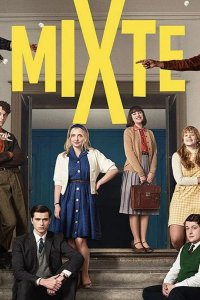  Смешанный лицей 