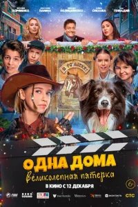  Одна дома: Великолепная пятерка 