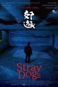  Бродячие псы 