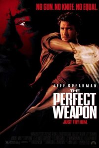  Совершенное оружие 