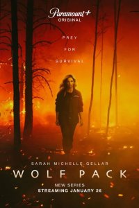  Волчья стая 