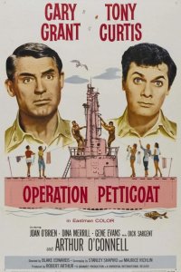  Операция «Нижняя юбка» 