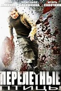  Перелётные птицы 