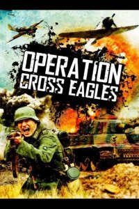  Операция «Орлиный крест» 