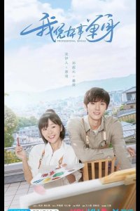  Профессионал-одиночка 