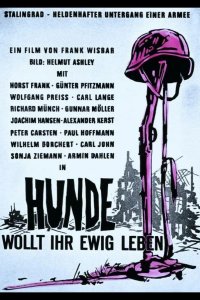  Собаки, хотите жить вечно? 