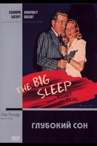 Большой сон 