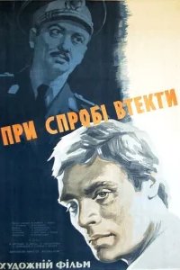  При попытке к бегству 