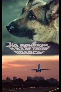  На привязи у взлетной полосы 