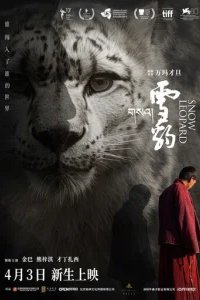  Снежный барс 