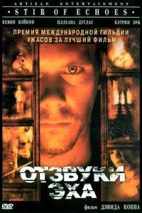  Отзвуки эха 