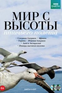  Мир с высоты птичьего полета 
