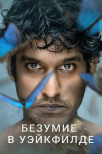  Безумие в Уэйкфилде 