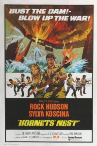  Гнездо шершней 