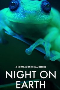  Ночь на Земле 