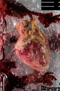  Муж парикмахерши 