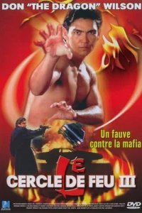  Огненное кольцо 3: Удар льва 