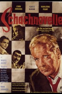  Шахматная новелла 