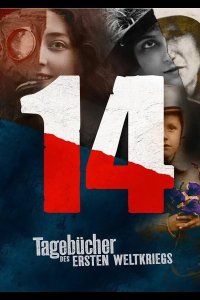  Дневники великой войны 