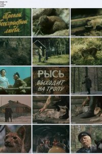  Тропой бескорыстной любви 