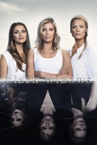  Черные вдовы 