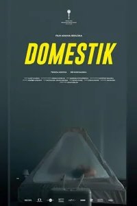  Домашний режим 