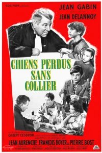  Бродячие собаки без ошейников 