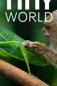  Крошечный мир 