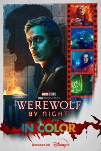  Ночной оборотень 