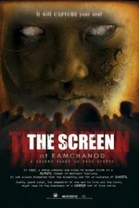  Экран в Камчанод 