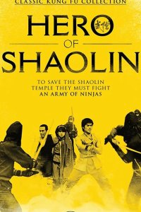  Ниндзя против стражей Шаолиня 