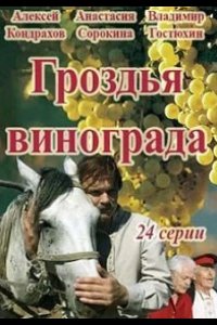  Гроздья винограда 