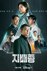  Не содержит кровь 