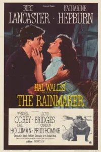  Продавец дождя 