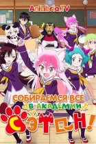  Добро пожаловать в Сэтон 