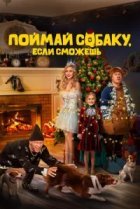  Поймай собаку, если сможешь 