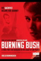  Неопалимая купина 