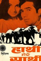  Слоны — мои друзья 