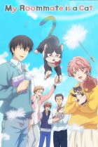  Домашний питомец, иногда сидящий на моей голове 