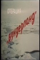  Операция «Вундерланд» 