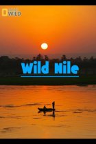  Дикий Нил 