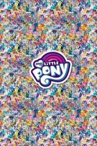  Мой маленький пони: Дружба — это чудо 