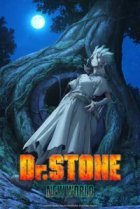  Доктор Стоун 