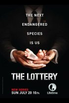  Лотерея 