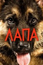  Лапа 