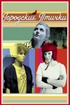  Городские птички 